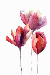 Naklejka portret tulipanów