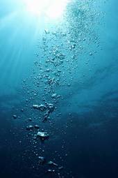Fotoroleta słońce natura świeży podwodne