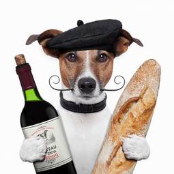 Naklejka zdrowy francja pies winorośl zwierzę