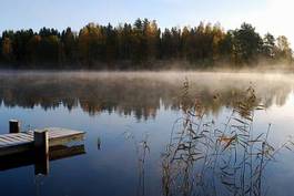 Fototapeta szwecja jesień natura