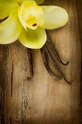 Fototapeta wanilia azjatycki jedzenie storczyk natura