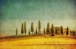 Fototapeta włoski vintage pole włochy wzór