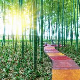 Naklejka bambus natura wschód