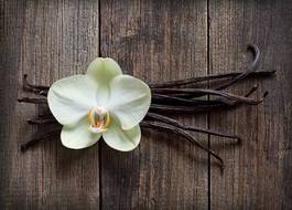 Fotoroleta kwiat egzotyczny wanilia deser