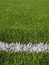 Obraz na płótnie boisko piłki nożnej stadion pole trawa sport