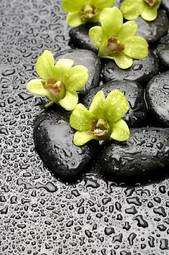 Obraz na płótnie zen kwiat woda