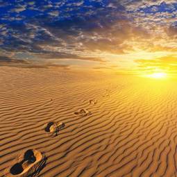 Naklejka fala słońce wydma pejzaż pustynia