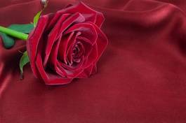 Fototapeta kwiat miłość jedwab tło romantyczne