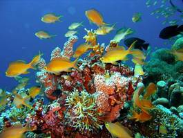 Fototapeta meksyk egzotyczny karaiby morze