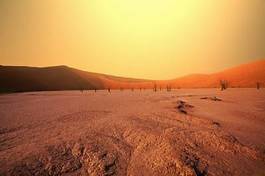Plakat pustynia świt bezdroża wydma