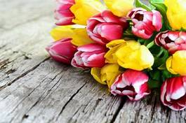 Naklejka kwiat natura tulipan roślina