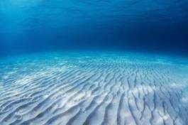 Naklejka plaża słońce podwodne morze