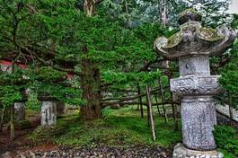 Naklejka drzewa sosna las sanktuarium japoński