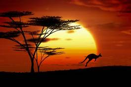 Fototapeta australia niebo piękny dziki zwierzę