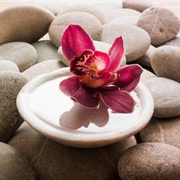 Obraz na płótnie kwiat zen storczyk wellnes
