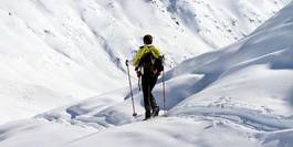 Obraz na płótnie widok alpy narty