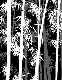 Plakat wzór roślina bambus abstrakcja obraz