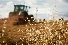Naklejka pole rolnictwo traktor dzień