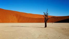 Naklejka afryka safari pustynia wydma krajobraz