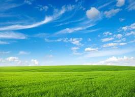 Obraz na płótnie wzgórze lato niebo trawa pejzaż
