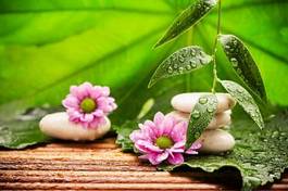 Obraz na płótnie masaż kwiat zen zdrowy