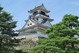 Fotoroleta sosna japonia architektura azjatycki japoński