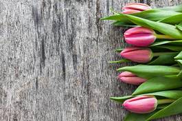 Obraz na płótnie bukiet roślina tulipan kwiat