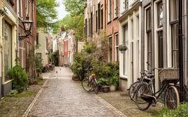 Obraz na płótnie kwiat ulica europa rower holandia