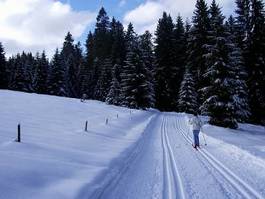 Plakat alpy sporty zimowe las