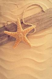 Plakat rozgwiazda plaża natura lato