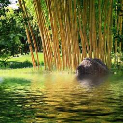 Naklejka bambus woda spokojny zen relaks
