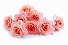 Naklejka bukiet różowych róż