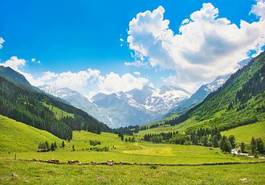 Fototapeta przepiękny krajobraz w alpach, międzynarodowy park hohe