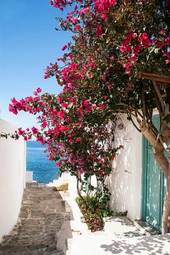 Naklejka lato grecki wyspa