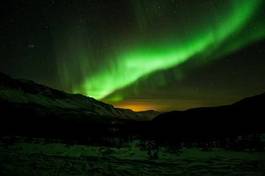 Plakat natura północ skandynawia drzewa noc