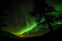 Fototapeta natura skandynawia finlandia noc