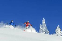 Plakat ruch sporty zimowe śnieg narciarz