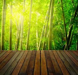 Plakat japonia bambus stary las