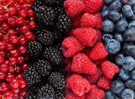 Naklejka natura zdrowy świeży owoc jedzenie