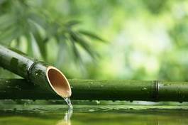 Obraz na płótnie fontanna bambusowa