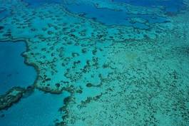 Fotoroleta koral samolot australia woda obraz