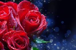 Fotoroleta piękny bukiet świeży rosa kwiat