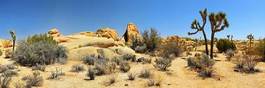Naklejka pustynia krajobraz błękitne niebo