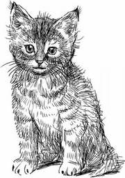Naklejka siedzący kotek szkic