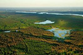 Naklejka las woda zdjęcie lotnicze jęzioro błoto