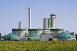 Naklejka pole rolnictwo biomasa biogaz