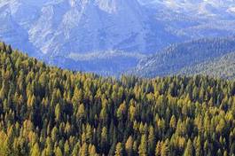 Fototapeta pejzaż alpy bezdroża jesień