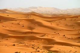 Naklejka safari szczyt wydma pejzaż pustynia