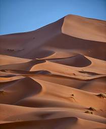 Plakat pustynia afryka trekking