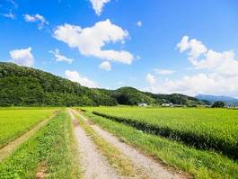 Obraz na płótnie błękitne niebo spokojny krajobraz rolnictwo góra